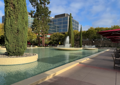 Fountain Renewal
