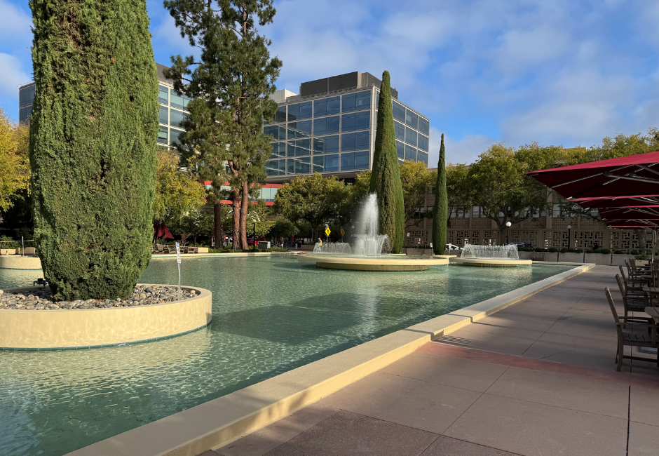 Fountain Renewal